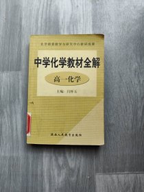 中学化学教材全解. 高一化学