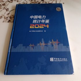 中国电力统计年鉴2024年