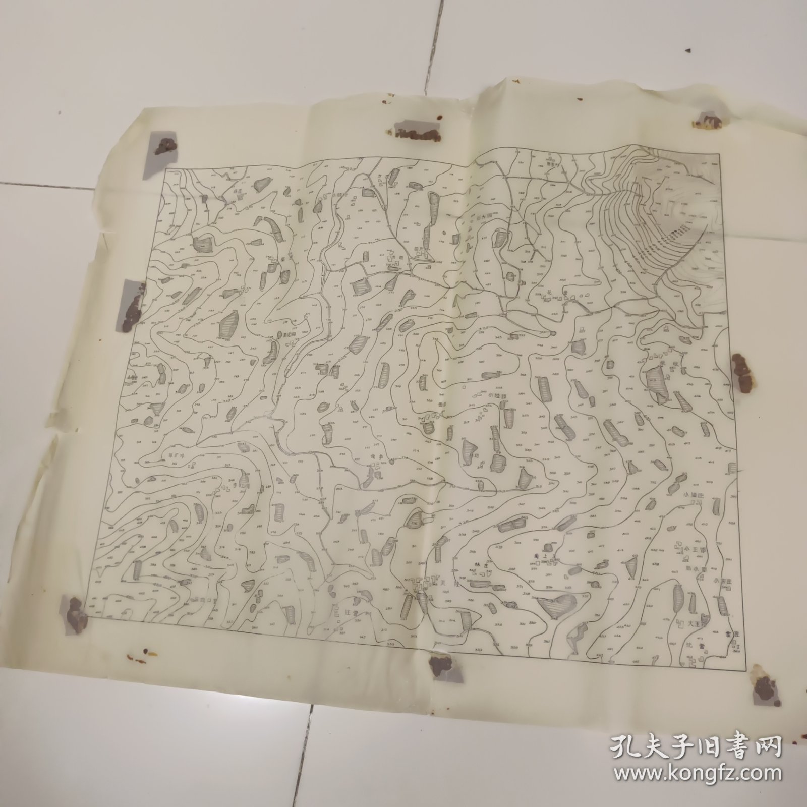 五十年代姚墎2张（蜡纸）