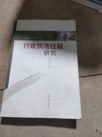 行政执法过程研究