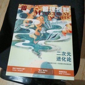 管理视野