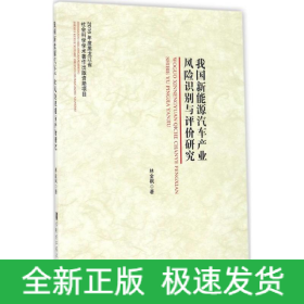 我國新能源汽車產(chǎn)業(yè)風(fēng)險識別與評價研究