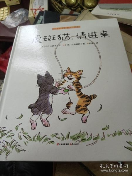 阿黑和虎斑：虎斑猫，请进来