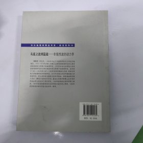 中外物理学精品书系·从孤立波到湍流：非线性波的动力学