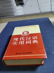 精编现代汉语实用词典