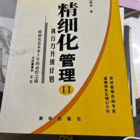 精细化管理II：执行力升级计划