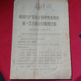 中国共产党第十届 中央委员会第一次全体会议新闻公报。