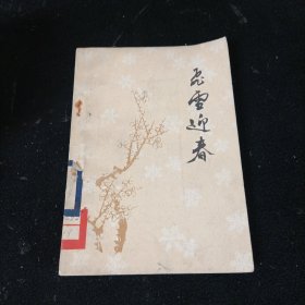 飞雪迎春