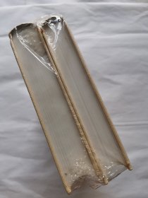唐德刚作品集之九：战争与爱情（上下）