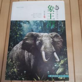 盛世中国原创儿童文学大系：象王泪