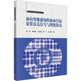 面向智能感知的海面目标宽带雷达信号与图像仿真