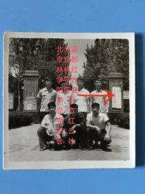 北京林学院（现北京林业大学）大门大学生合影老照片