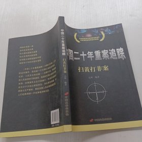 中国二十年重案追踪（扫黄打非）