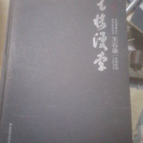 当代艺术名家经典作品范本. 王石染