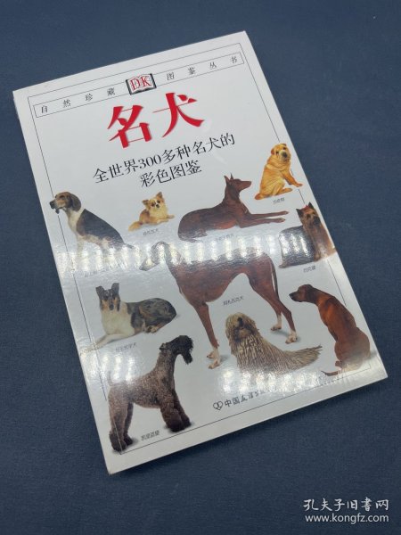 名犬 全新