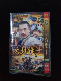 光盘DVD：陕北汉子   简装2碟