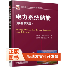 电力系统储能