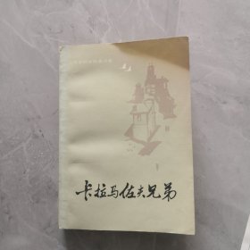 卡拉马佐夫兄弟 上