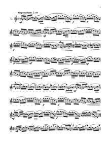 安德森长笛练习曲OP.33（附音频）