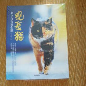 观复猫：书中自有黄金猫