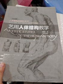 艺用人体结构教学