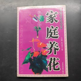 家庭养花