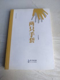 王浩洪作品选集：两只手套