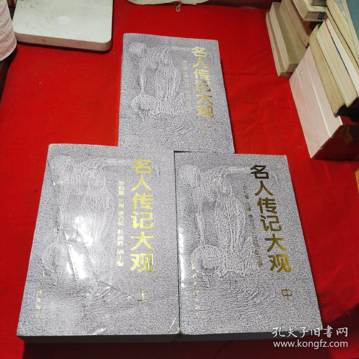 名人传记大观 上中下