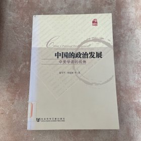 中国的政治发展：中美学者的视角