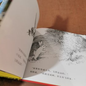 信谊绘本世界精选图画书： 逃家小兔