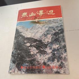 泰山导游