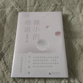 微小的命运（单向街文学奖年度青年作家李静睿·全新精装版，讲述爱情、命运、人生的选择）