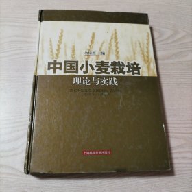 中国小麦栽培理论与实践（书内无勾划）
