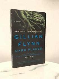 Dark Places：A Novel by Gillian Flynn 英文原版小说 gone girl 作者