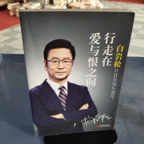 白岩松 行走在爱与恨之间