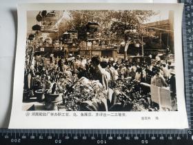 老照片新闻照片七八十年照片 大尺寸(20.5x15.5cm )【河南轮胎厂举办职工花、鸟、鱼展览，并评出一二三等奖。】