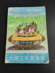 七龙珠 大魔王之谜卷1：大魔王恢复青春，海南摄影美术出版社出版。.