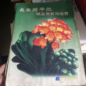 长春君子兰精品赏析与培育