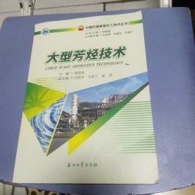 大型芳烃技术/中国石油炼油化工技术丛书