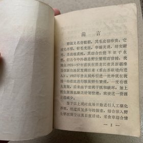 珍贵动物麝鼠养殖（辽宁省