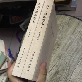 大卫.科波菲尔(上下全)