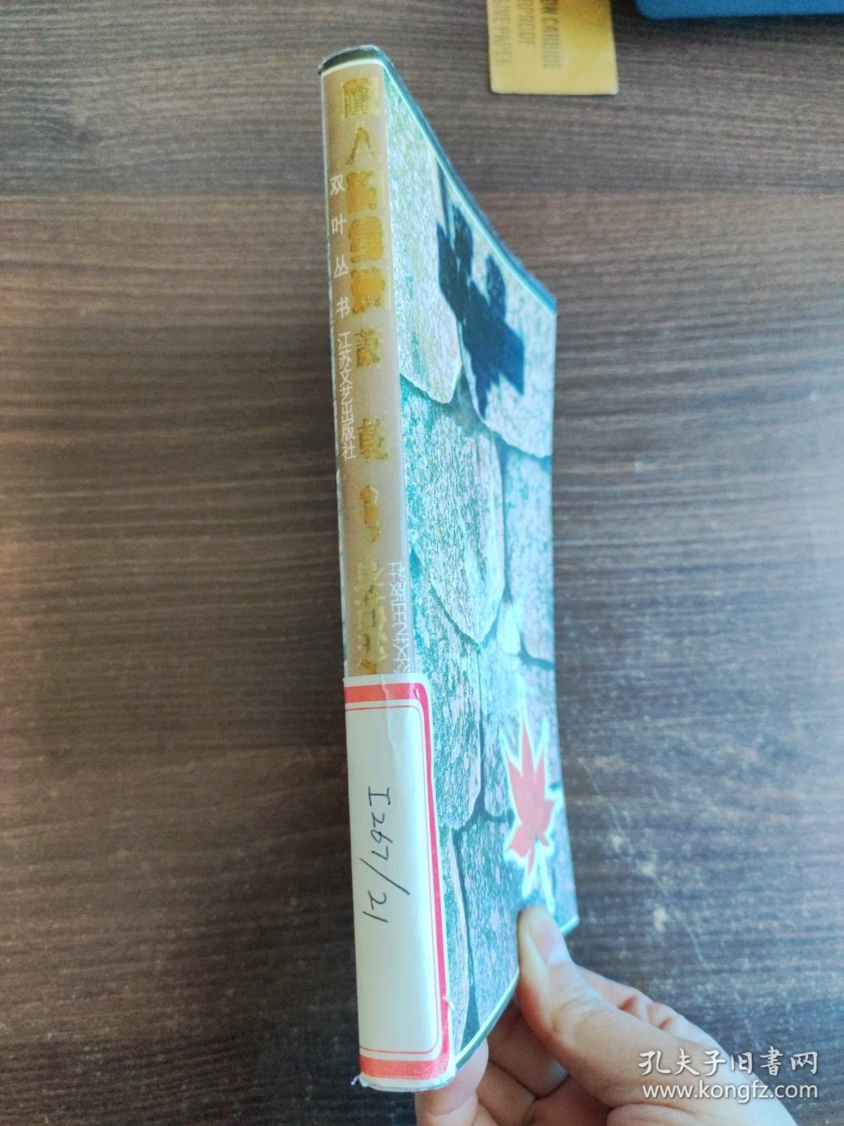 旅人的绿洲 (正反倒看本)馆藏