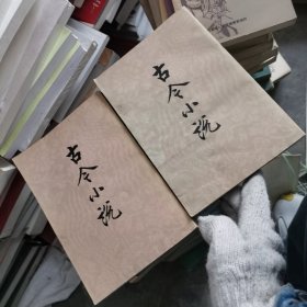 古今小说（上下）