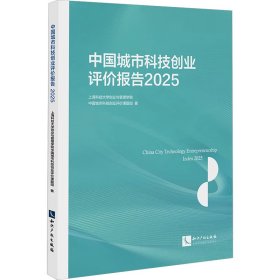 中国城市科技创业评价报告2025