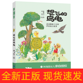 想飞的乌龟（林海音儿童文学精品）