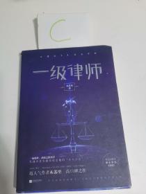 一级律师 木苏里 全球高考作家木苏里又一口碑之作 纯爱都市 收录独家番外 强强联手