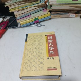 汉语大字典 普及本