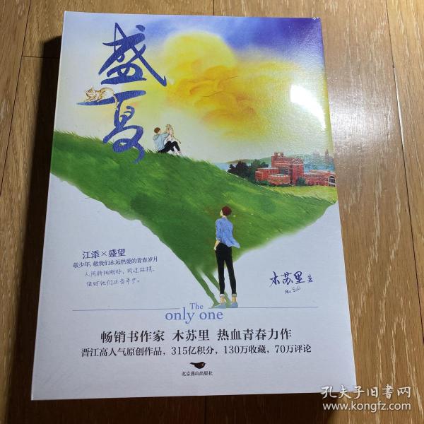 盛夏（印特签版）：Q版折立卡，畅销书作家木苏里热血青春力作！制冷机江添×小少爷盛望！新增超肥万字番外：旅人和习惯