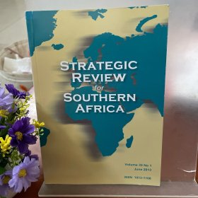 战略审查，南部非洲