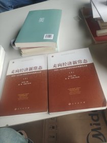 走向经济新常态——2006-2016年中国宏观经济预测与分析（上、下）